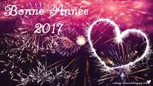 2017-bonne-annee-1